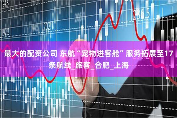 最大的配资公司 东航“宠物进客舱”服务拓展至17条航线_旅客_合肥_上海
